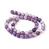 Natural Lepidolite/Purple Mica Stone Beads Strands G-K415-8mm-7