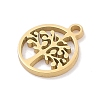 304 Stainless Steel Charms STAS-K286-01D-G-2