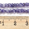 Natural White Shell Dyed Beads Strands BSHE-Z005-03C-4