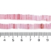 Handmade Lampwork Beads Strands LAMP-Q037-02B-03-4