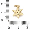 Brass Micro Pave Cubic Zirconia Pendants LS-KK-I383-05G-06-3