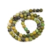 Natural Serpentine Beads Strands G-G829-06-6mm-5