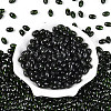 Glass Seed Beads SEED-T009-02B-1