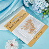 30Pcs 3 Style Brass Clip-on Earring Findings KK-BBC0011-06-6