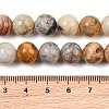 Natural Crazy Lace Agate Beads Strands G-S259-38-10mm-7