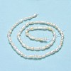 Natural Cultured Freshwater Pearl Beads Strands PEAR-J006-03F-01-3