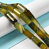 Natural Agate Beads Strands G-H295-E01-12-2