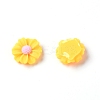 Resin Cabochons RESI-TAC0006-02A-02-1