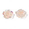 Transparent Resin Cabochons CRES-N030-001B-05-3