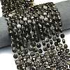 Natural Silver Obsidian Beads Strands G-C116-A55-02-1