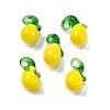 Fruit Food Glass Pendant X-RESI-U001-03A-1