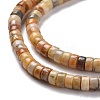Natural Crazy Lace Agate Beads Strands G-P468-09-3