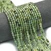 Natural Prehnite Beads Strands G-A260-A34-01-1