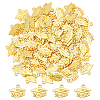 100Pcs Alloy Pendants FIND-DC0007-27G-1