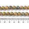 Natural Verdite Stone Beads Strands G-P530-B07-03-5