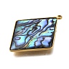 304 Stainless Steel Pave Natural Paua Shell Pendants STAS-Z125-01D-G-2