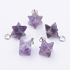 Natural Amethyst Pendants X-G-E398-01B-2