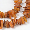 Natural Shell Beads Strands PBB226Y-1-3