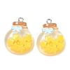 Transparent Resin Pendants LS-RESI-K203-19-2