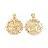 Brass Micro Pave Cubic Zirconia Pendants ZIRC-P106-22G-1