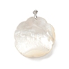 Natural White Shell Pendants BSHE-E029-03P-01-3