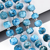 Natural Apatite Beads Strands G-T144-A01-08-1