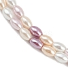 Electroplated Shell Pearl Beads Strands BSHE-H113-06C-01-3