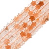 Natural Pink Aventurine Beads Strands G-H087-C06-01-1