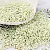 Baking Paint Glass Seed Beads SEED-S042-05B-63-1