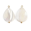 Natural Shell Teardrop Pendants X1-STAS-D378-33G-1
