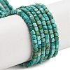 Natural HuBei Turquoise Beads Strands G-H042-B34-01-1