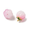 Glass Charms GLAA-P072-04G-04-2