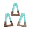 Resin & Wood Pendants WOOD-F015-10F-1