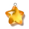 Marine Series Transparent Resin Pendants RESI-E031-02P-05-1