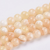Natural Dyed Yellow Jade Gemstone Bead Strands G-R271-6mm-Y17-1