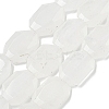 Natural Quartz Crystal Beads Strands G-P544-B11-01-1