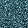 MIYUKI Delica Beads SEED-X0054-DB1283-3