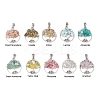 10Pcs 10 Styles Natural Mixed Gemstone Chip Pendants PALLOY-JF02836-1