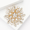 Alloy and Clear Glass Rhinestone Christmas Snowflake Brooch for Women PW-WG5C554-01-3