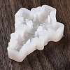 DIY Pendant Silicone Molds SIMO-Z005-11-5