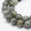 Natural Labradorite Beads Strands G-P322-28-10mm-3