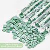  520Pcs 2 Style 2-Hole Glass Seed Beads SEED-NB0001-72B-5