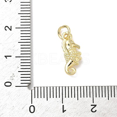 Brass Micro Pave Cubic Zirconia Charms ZIRC-I356-13G-03-1