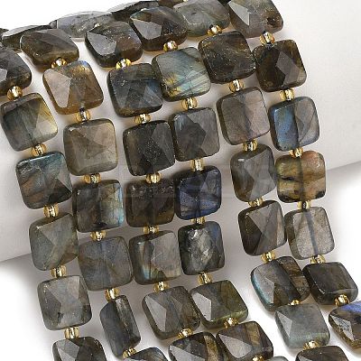 Natural Labradorite Beads Strands G-L642-L02-10mm-1