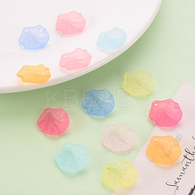 Transparent Frosted Acrylic Pendants MACR-S371-01A-1