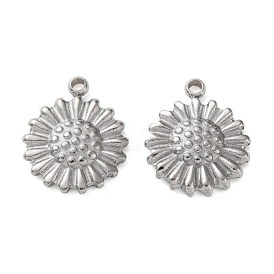304 Stainless Steel Charms STAS-P440-04P-1