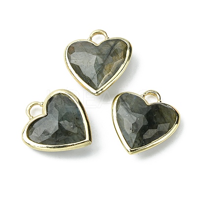 Natural Labradorite Pendants G-O204-01D-1