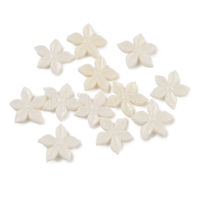 (Defective Closeout Sale: Yellowing) Resin Cabochons MRMJ-XCP0001-64A-1