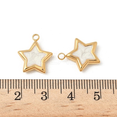 304 Stainless Steel Enamel Charms STAS-V015-37G-1