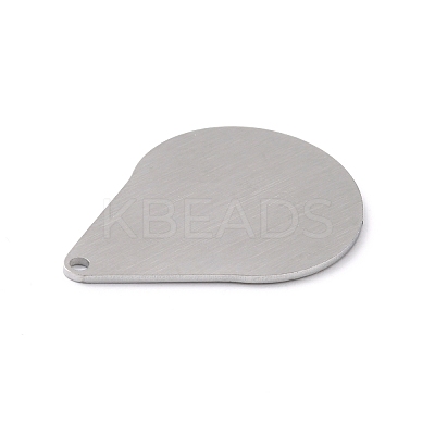 Tarnish Resistant 304 Stainless Steel Pendants STAS-F271-05F-P-1